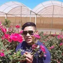 @elias.ravi0