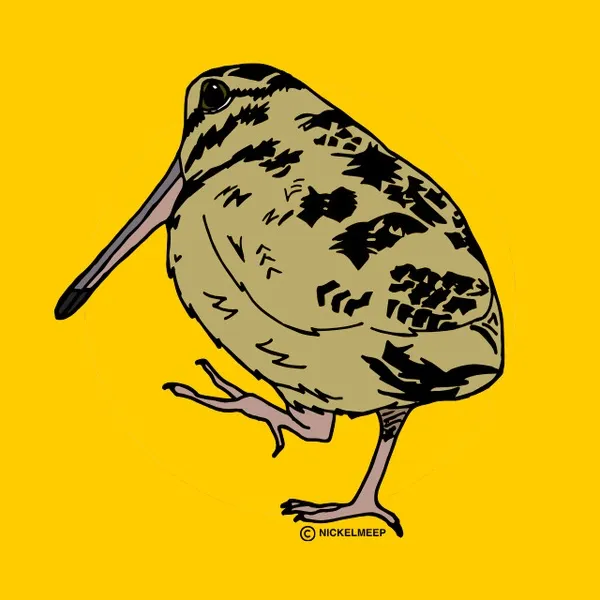 nickelmeep
