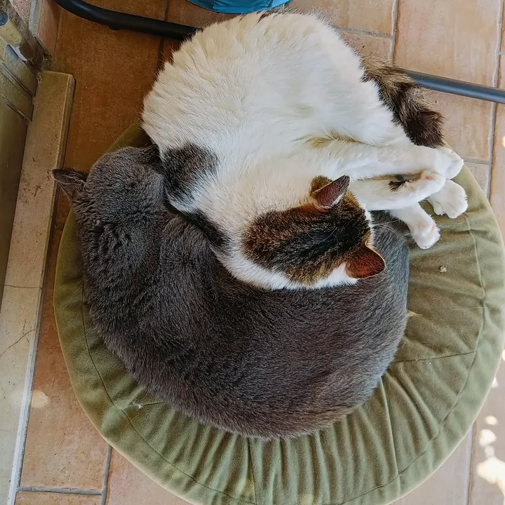 tsukitrama