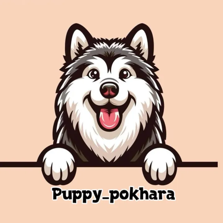 puppy.nepal