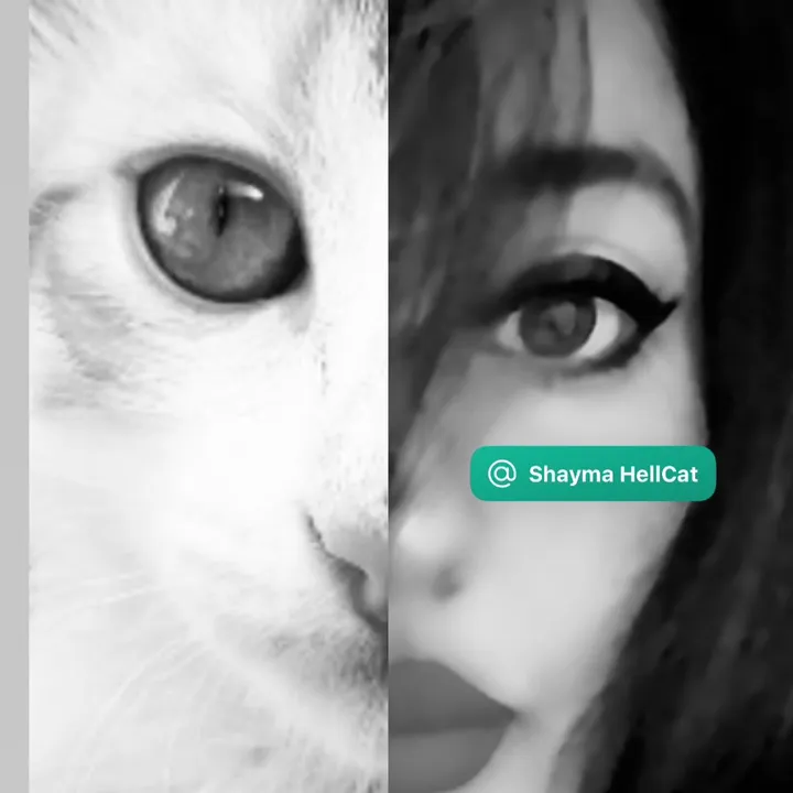 @shaymahellcat