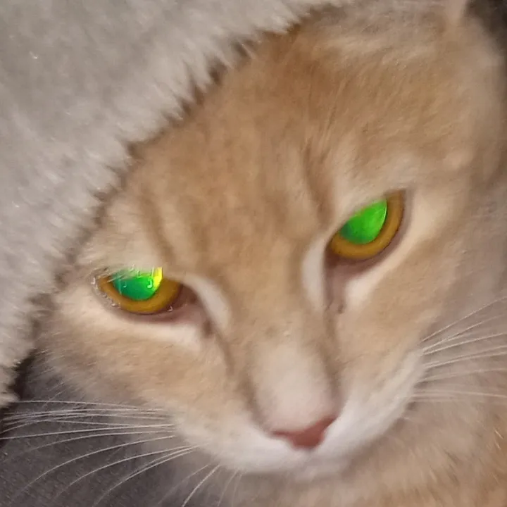 system_error4705