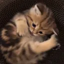 @movieqaz15