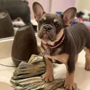 @grimeybullys