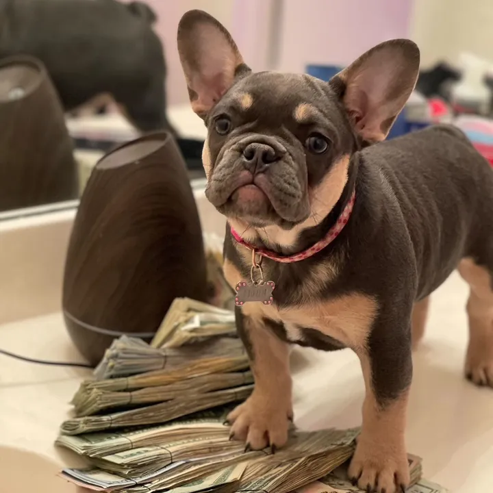 grimeybullys