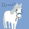 daisy_and_the_ponys24