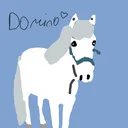 @daisy_and_the_ponys24