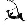 poleandaerialfitnessswfl