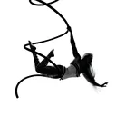 @poleandaerialfitnessswfl