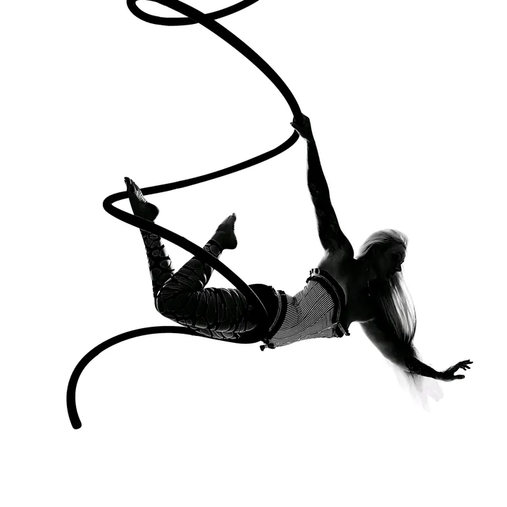 @poleandaerialfitnessswfl