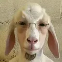 @smokstinill0