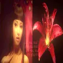 @seenthisangel.q