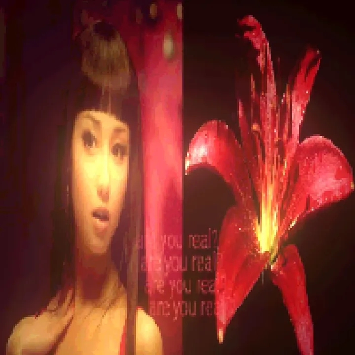 seenthisangel.q