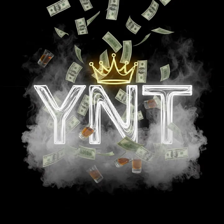 dmv.ynt