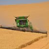cougfarmer