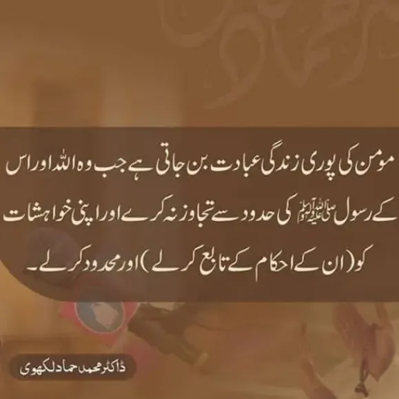 @muhammadnabeelofficial1