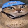 milkysauce_