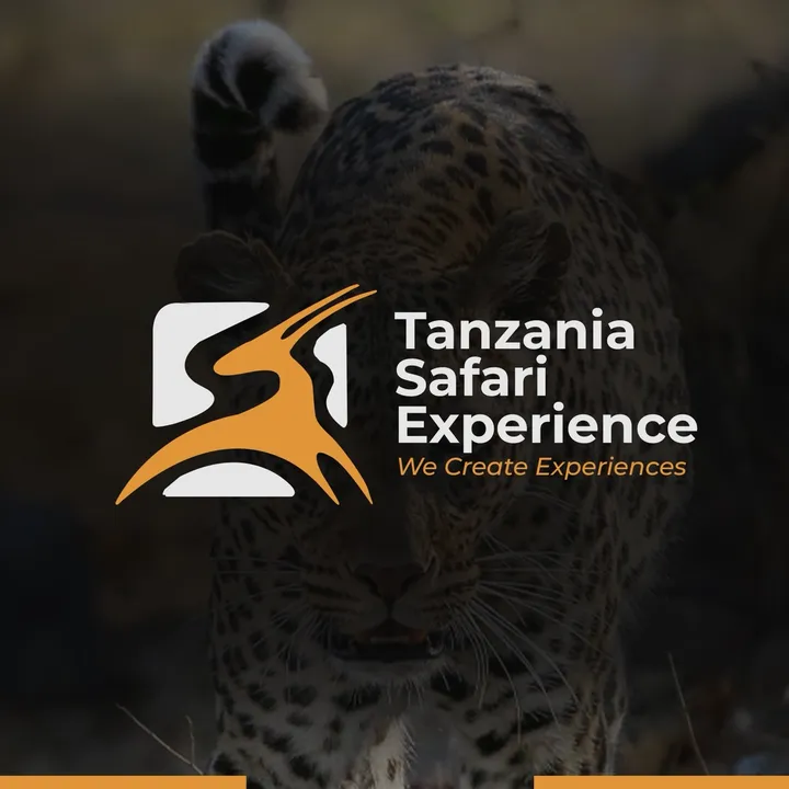 tanzaniasafariexperience