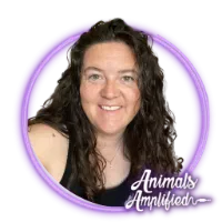 @animalsamplified