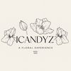 icandyz.co