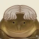 @burrow.dudb683