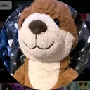 @energyducky