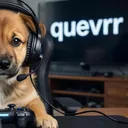 @quevrr.r6