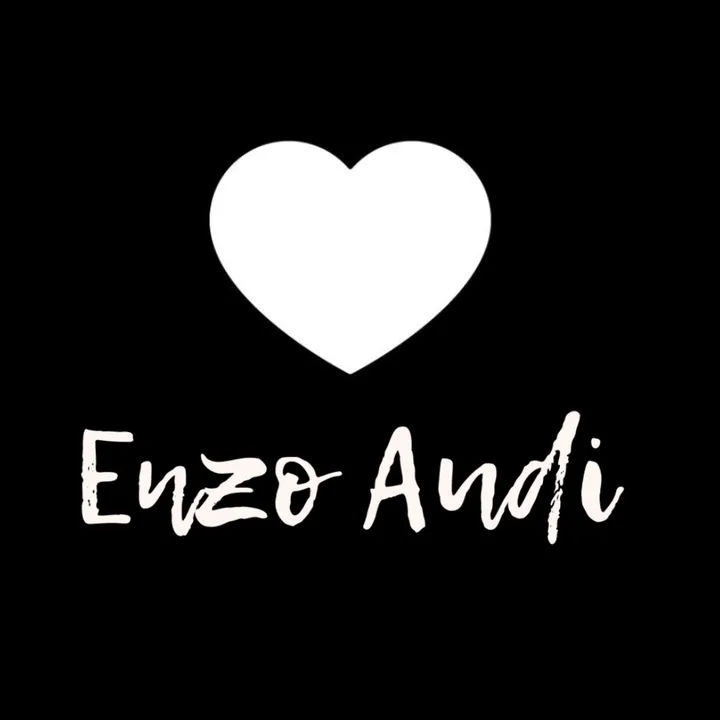 @enzo.audi