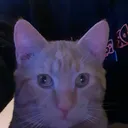 @gothofchaos666
