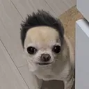 @ninebowlsofsoup