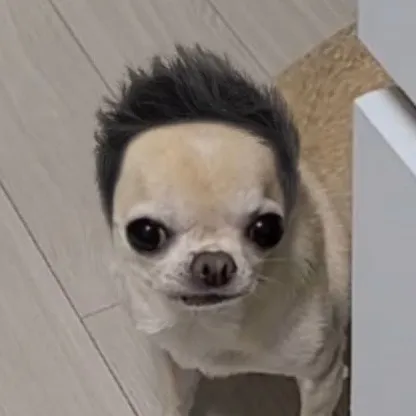 @ninebowlsofsoup