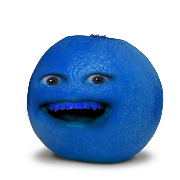 the.joyful.plum