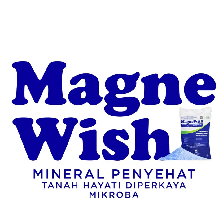 magnewish