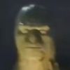 mowgslee