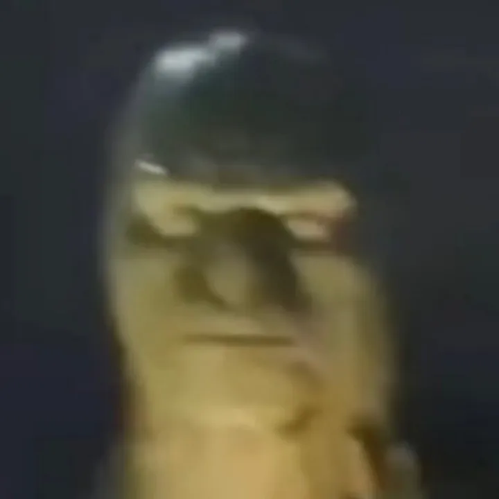 mowgslee