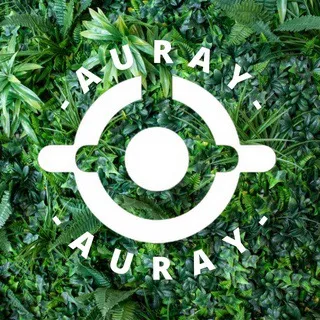 @bonobo.auray