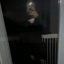 @wyatoni