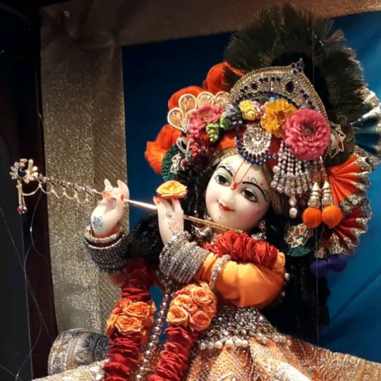 prabhaneeraj3