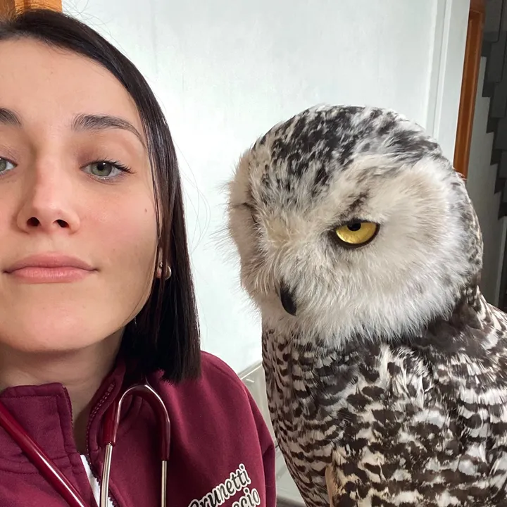 @ariannacervellivet