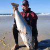 michael_parris_fish