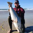 @michael_parris_fish