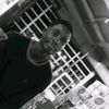 big.akwes4