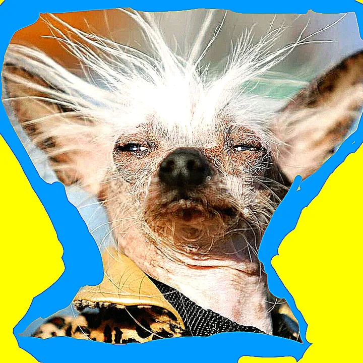 unclerezdog