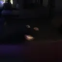 @tio_seus