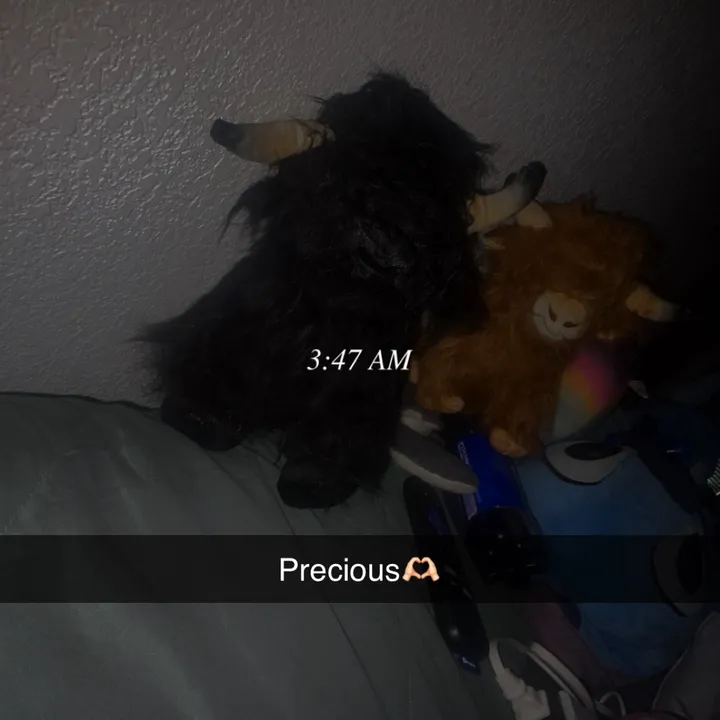 evelynlogan31
