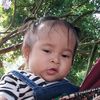 cimplukan1