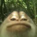 @redras6
