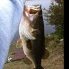 danmthatsabigbass