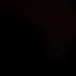@d._ly