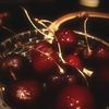 michaelacade.11
